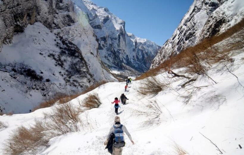 6 Days Most Popular Druk Path Trek